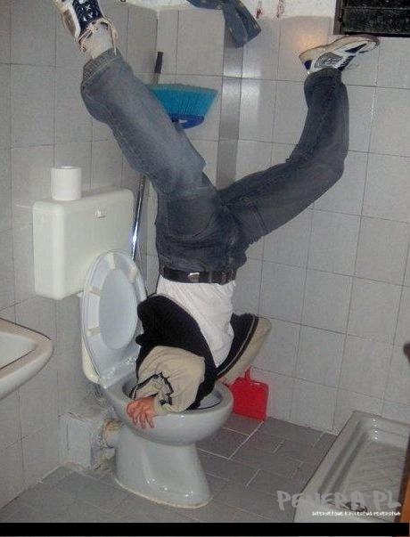 No i co? Gratulować czy płakać z głupoty?